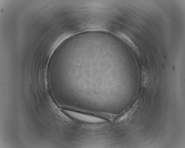 X0000067891182200604201301