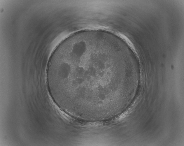 X0000067891183200604201301