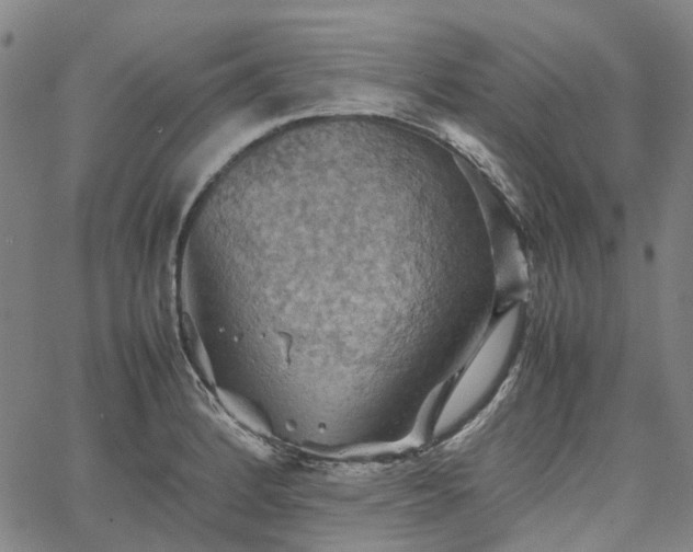 X0000067891184200604201301