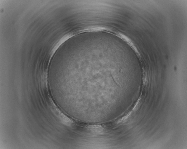 X0000067891186200604201301