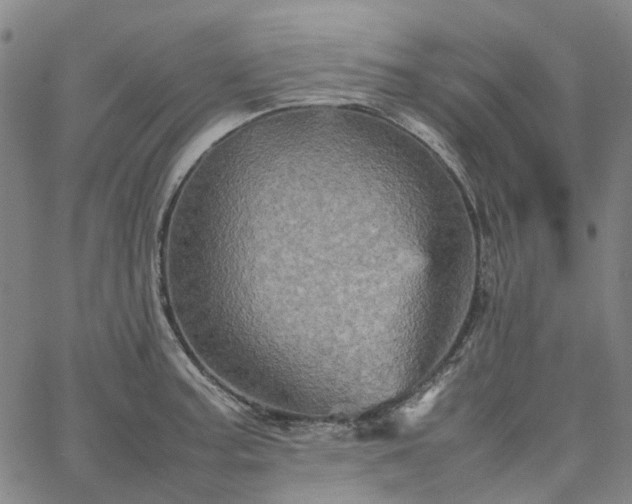 X0000067891187200604201301