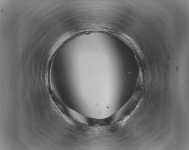 X0000067891188200604201301