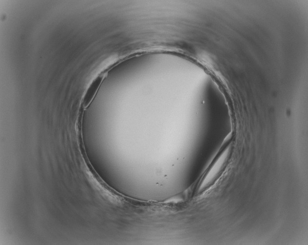 X0000067891189200604201301