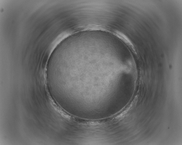 X0000067891190200604201301