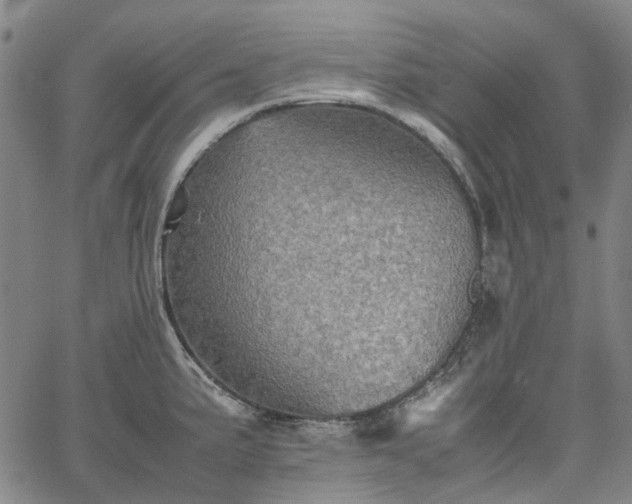 X0000067891191200604201301