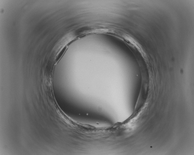 X0000067891193200604201301