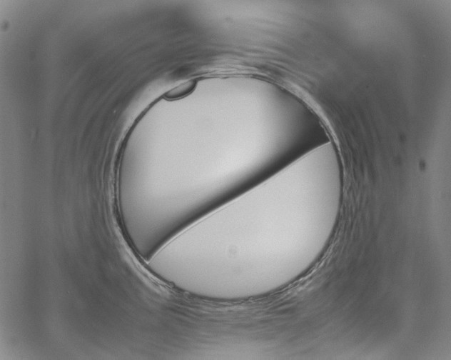 X0000067891195200604201301