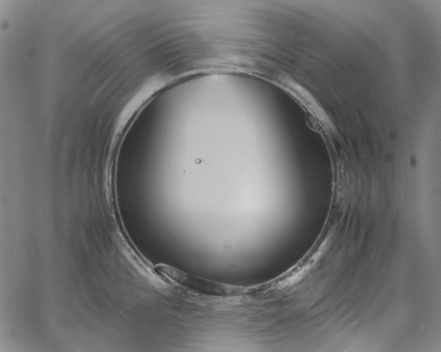 X0000067891196200604201301