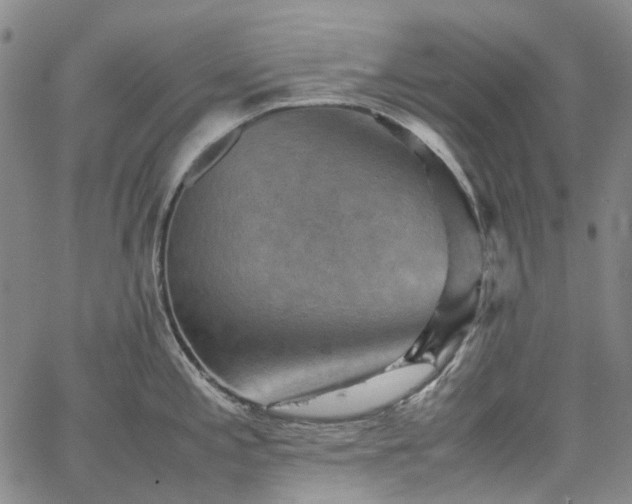 X0000067891197200604201301