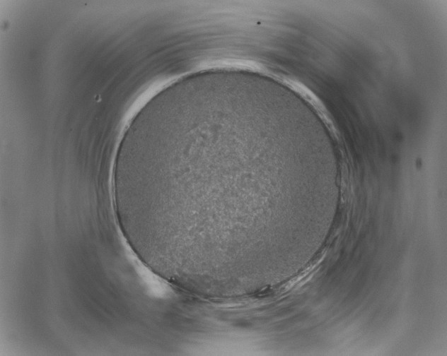 X0000067891199200604201301