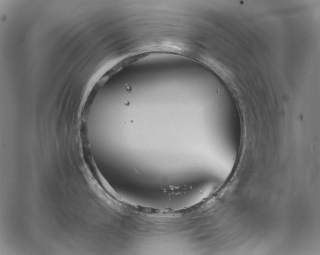 X0000067891200200604201301