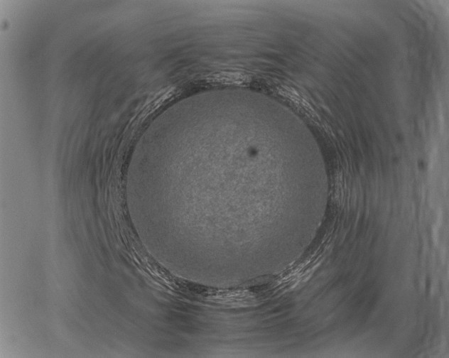 X0000067891201200604201300