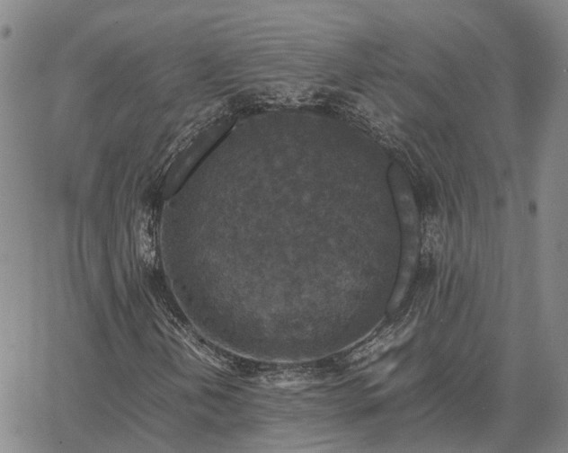 X0000067891202200604201300