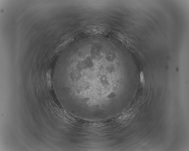 X0000067891203200604201300