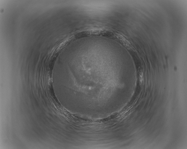 X0000067891204200604201300