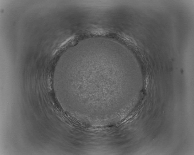 X0000067891205200604201300