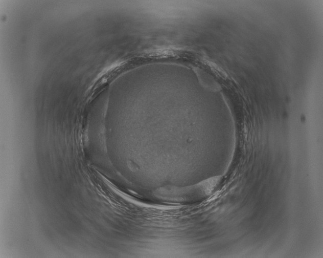 X0000067891206200604201300