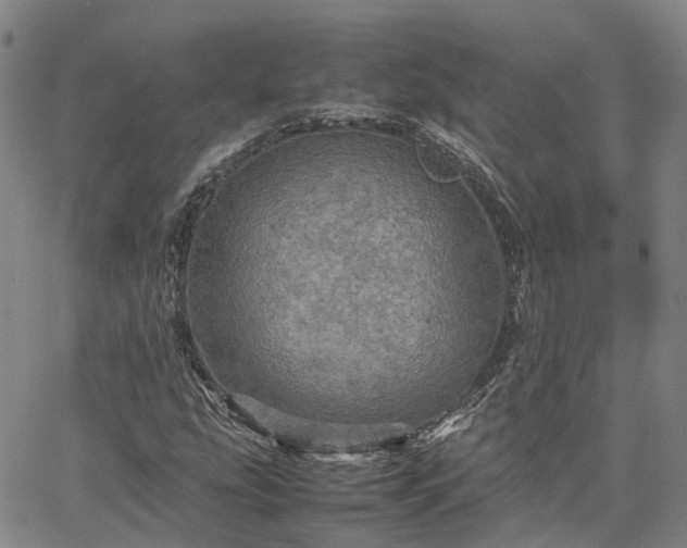 X0000067891207200604201300