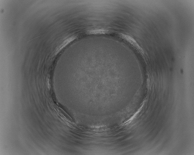 X0000067891209200604201300