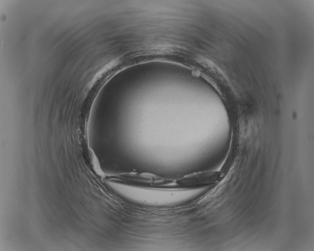 X0000067891210200604201300