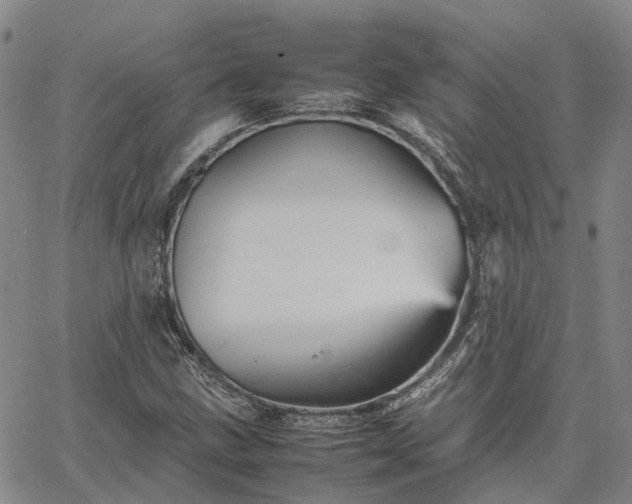 X0000067891211200604201300