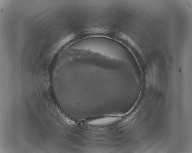 X0000067891213200604201300