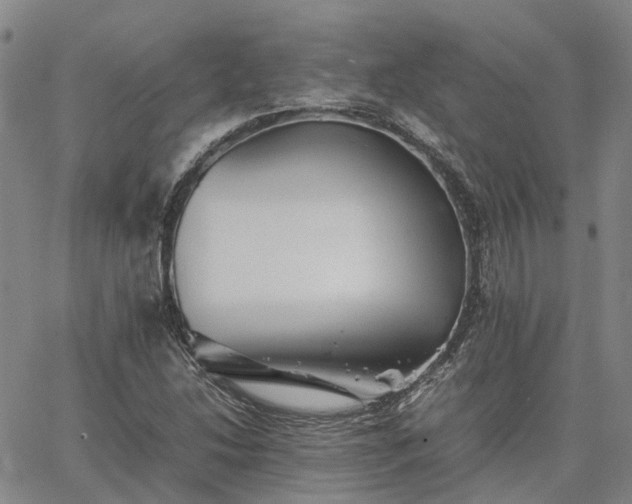 X0000067891214200604201300