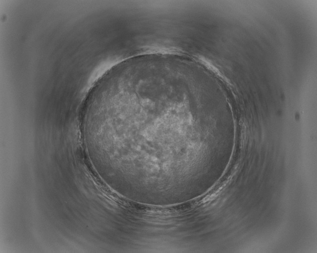 X0000067891215200604201300