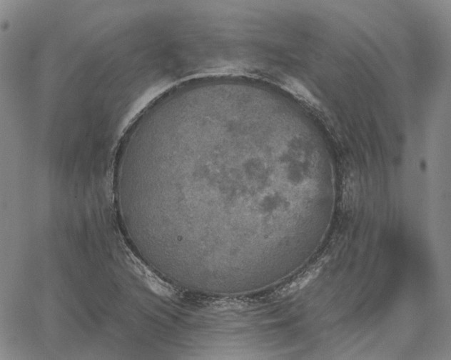 X0000067891216200604201300