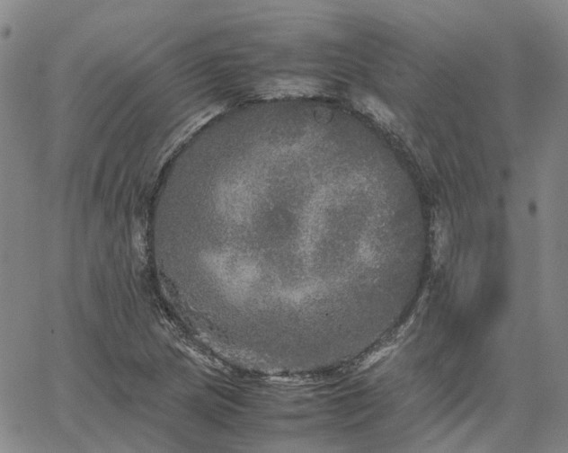 X0000067891217200604201300