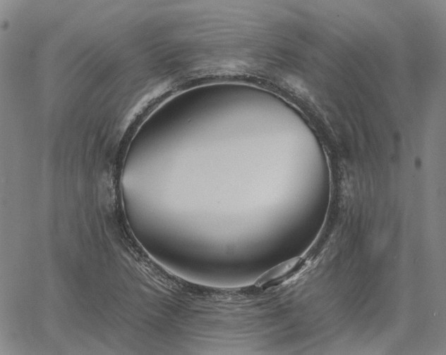 X0000067891218200604201300