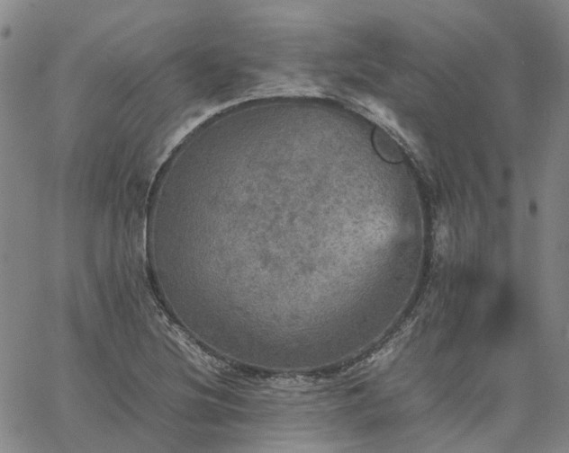 X0000067891220200604201300