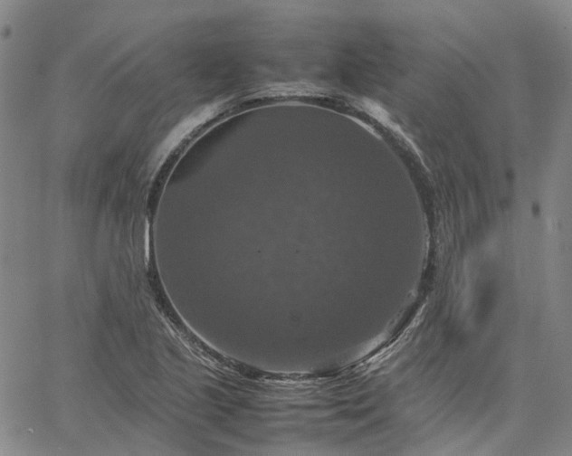 X0000067891221200604201300