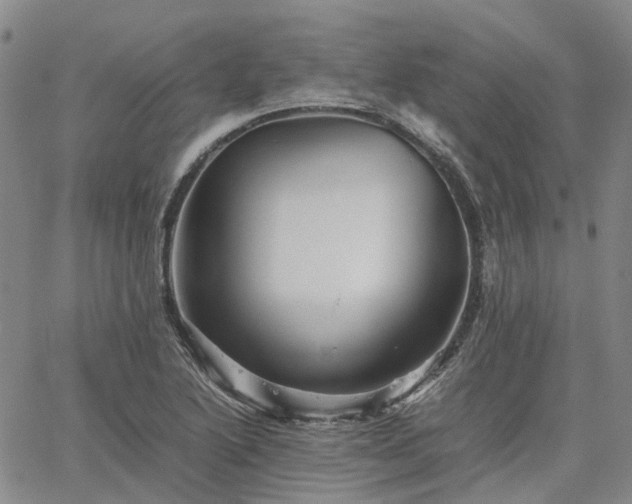 X0000067891222200604201300