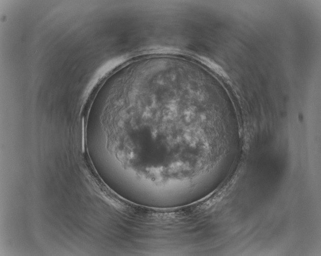 X0000067891223200604201301