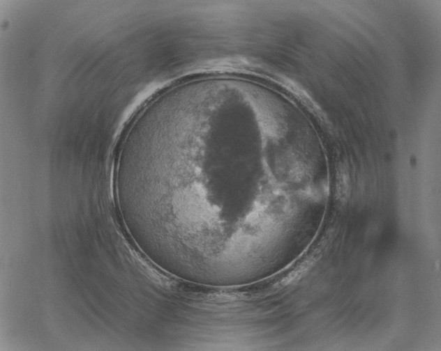 X0000067891224200604201301