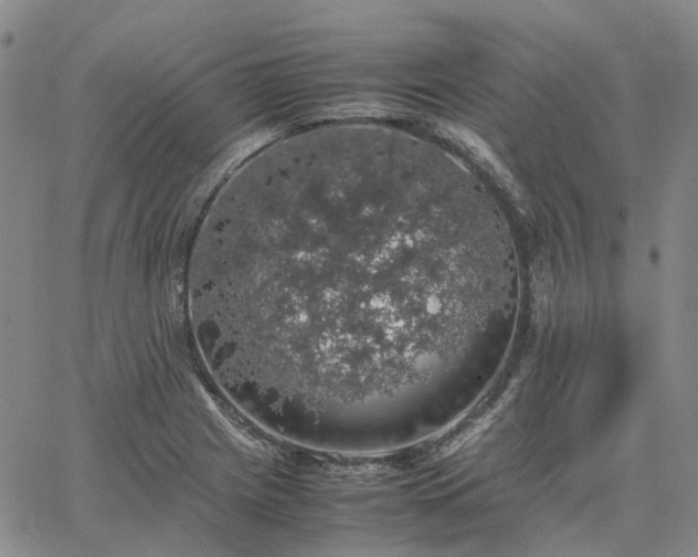 X0000067891225200604201301