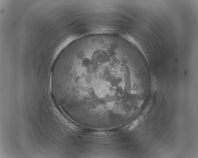 X0000067891227200604201301