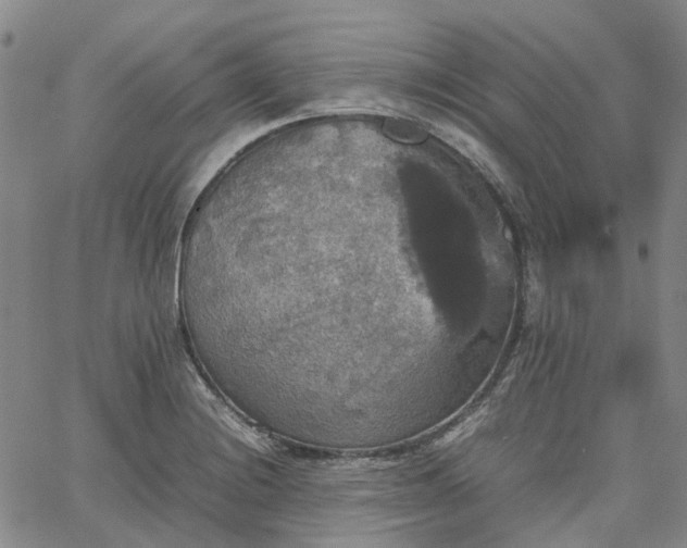 X0000067891228200604201301