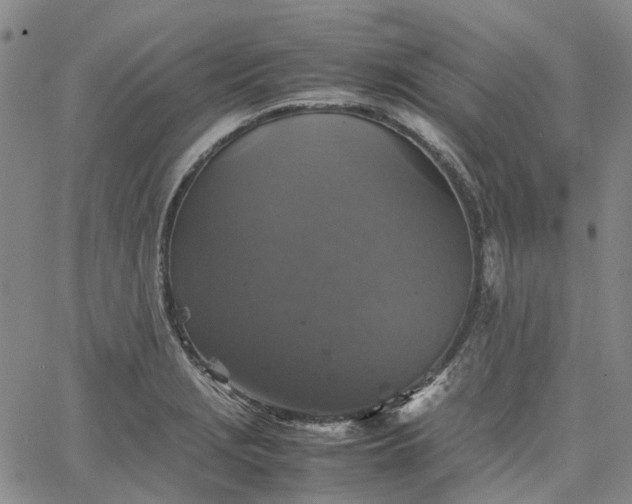 X0000067891229200604201301