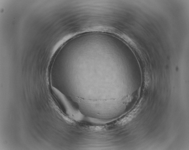 X0000067891230200604201301