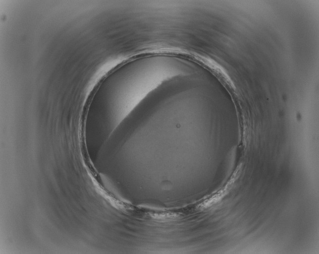 X0000067891231200604201301