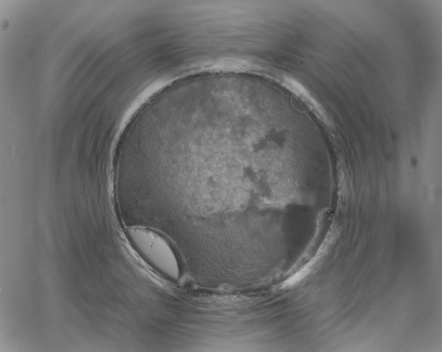 X0000067891232200604201301