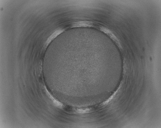 X0000067891233200604201301