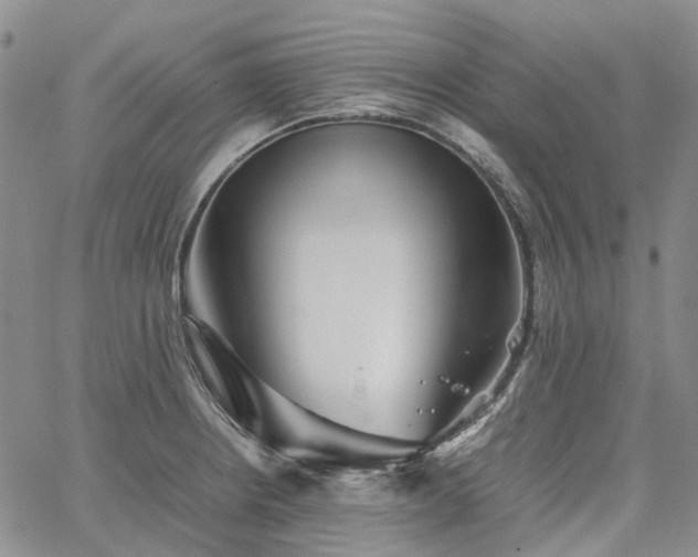 X0000067891234200604201301