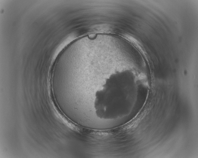 X0000067891235200604201301