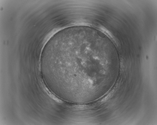 X0000067891236200604201301