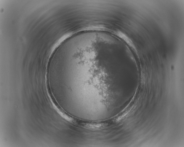 X0000067891237200604201301