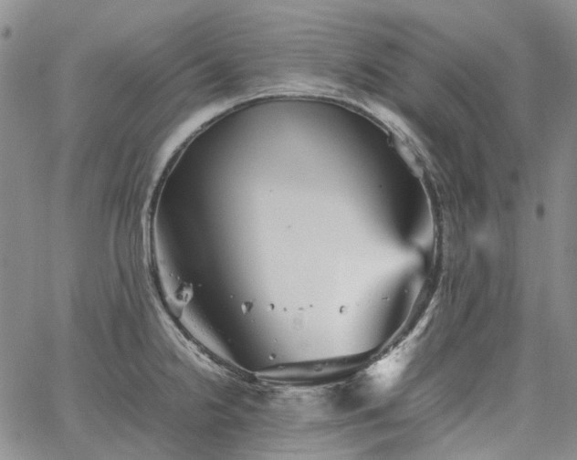 X0000067891238200604201301