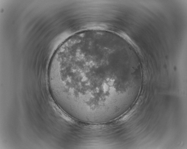 X0000067891240200604201301